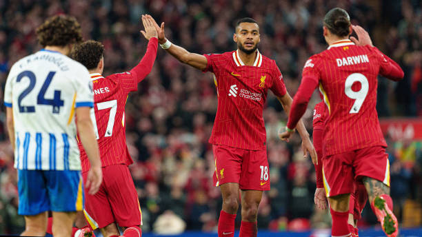 也希望我国 也希望我国